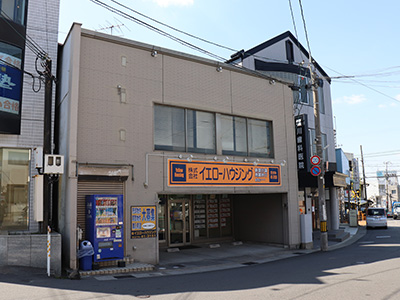 地域性